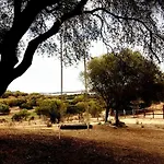 Séjour à la ferme Sa Mendhula