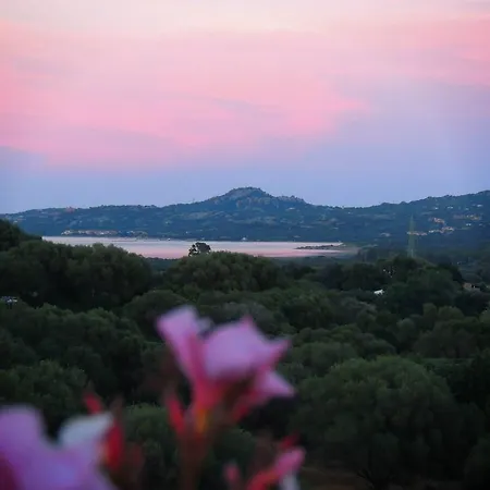 Sa Mendhula Alloggio per agriturismo *