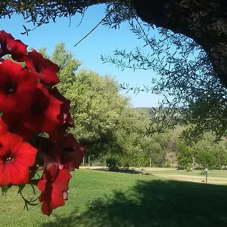 Farm stay Sa Mendhula Cugnana