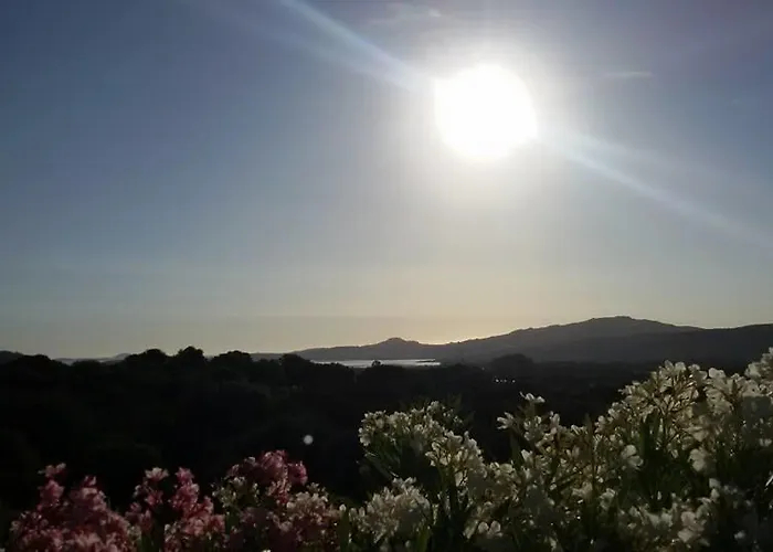 Sa Mendhula * Cugnana