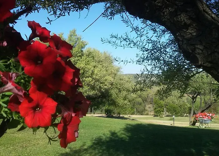 Séjour à la ferme Sa Mendhula Cugnana