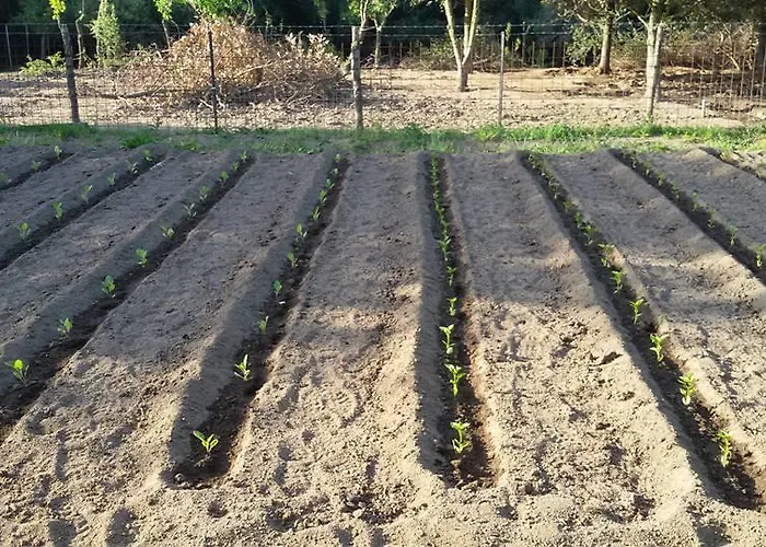 Sa Mendhula * Cugnana